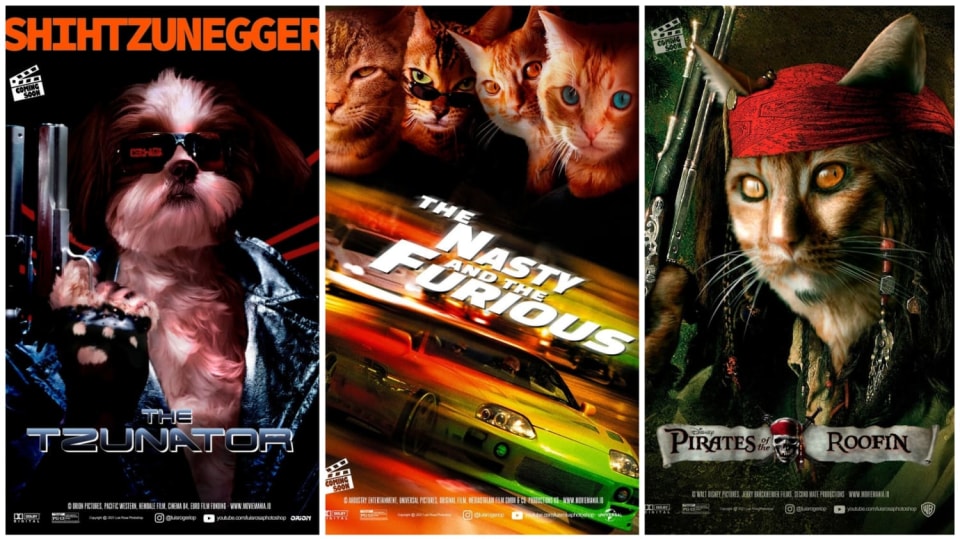 Filmové plakáty v psích a kočičích verzích